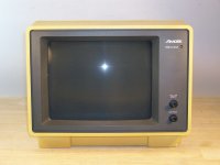 Amdek 310a vintage - MONOCHROME VIDEO MONITOR - tested working